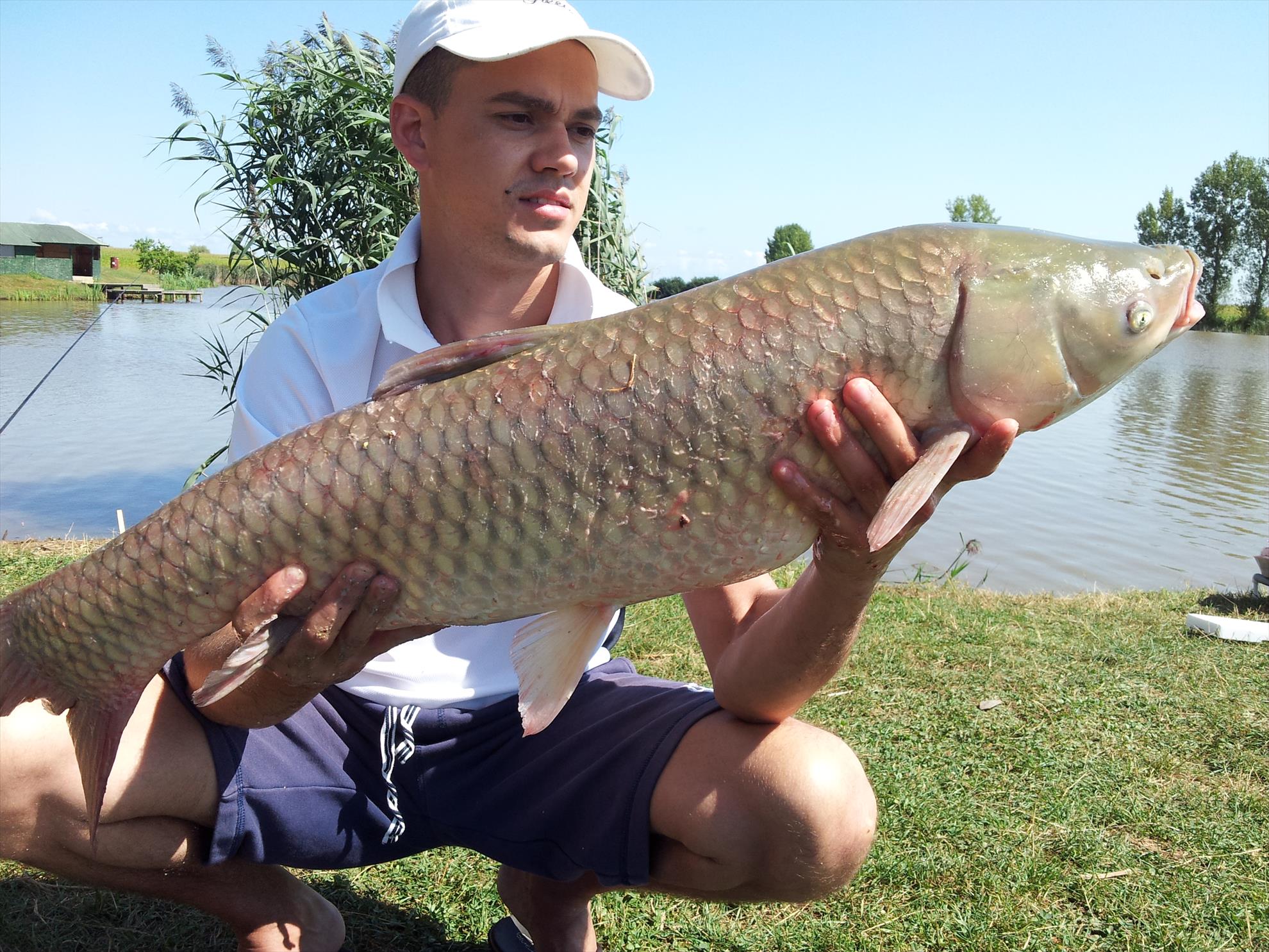 Lac Teiu  - 20140818113051.jpg